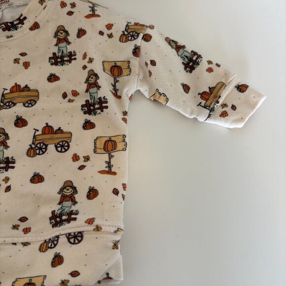 Dear Aspen Fall Long Sleeve Top Sweatshirt 9-12m Pumpkins Leaves Scarecrow - Picture 4 of 5